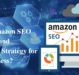 Why is Amazon SEO High Demand Marketing Strategy for your Business?
